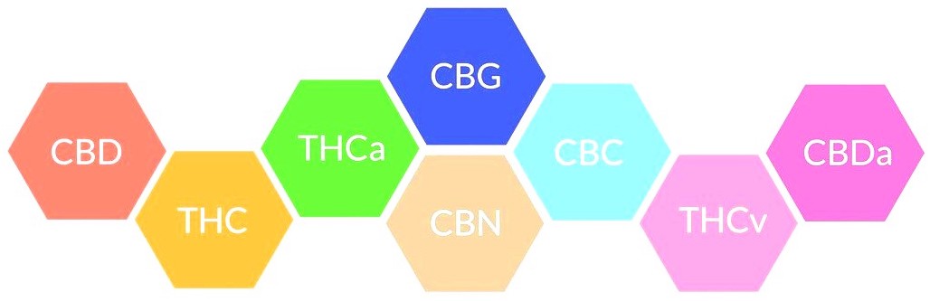 What are Cannabinoids - Restart CBD