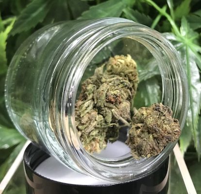 CBD Flower RESTART CBD Austin Texas