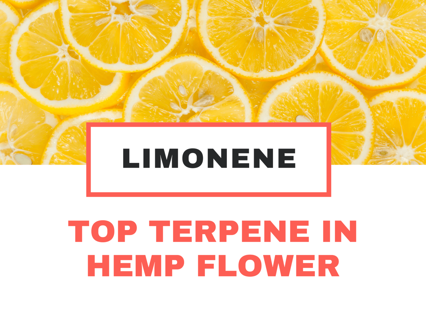 TOP TERPENE IN HEMP FLOWER: LIMONENE