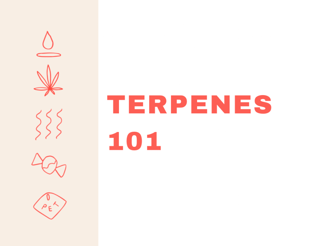 Terpenes: 101