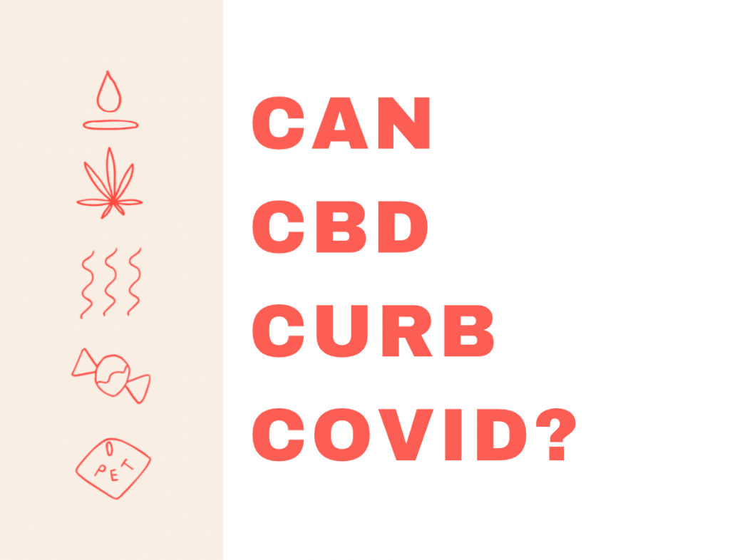 Can CBD Curb Covid?