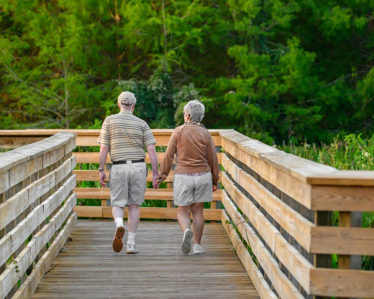 The Growing Popularity of CBD Gummies Among Seniors RESTART Austin