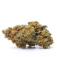 THCA Flower Private Reserve Governmint Oasis (S)