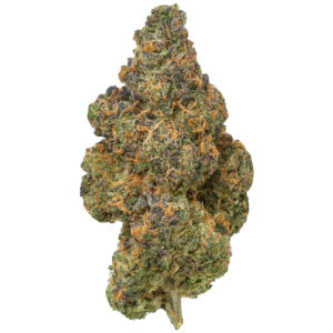 THCA Flower Premium Black Maple (I)