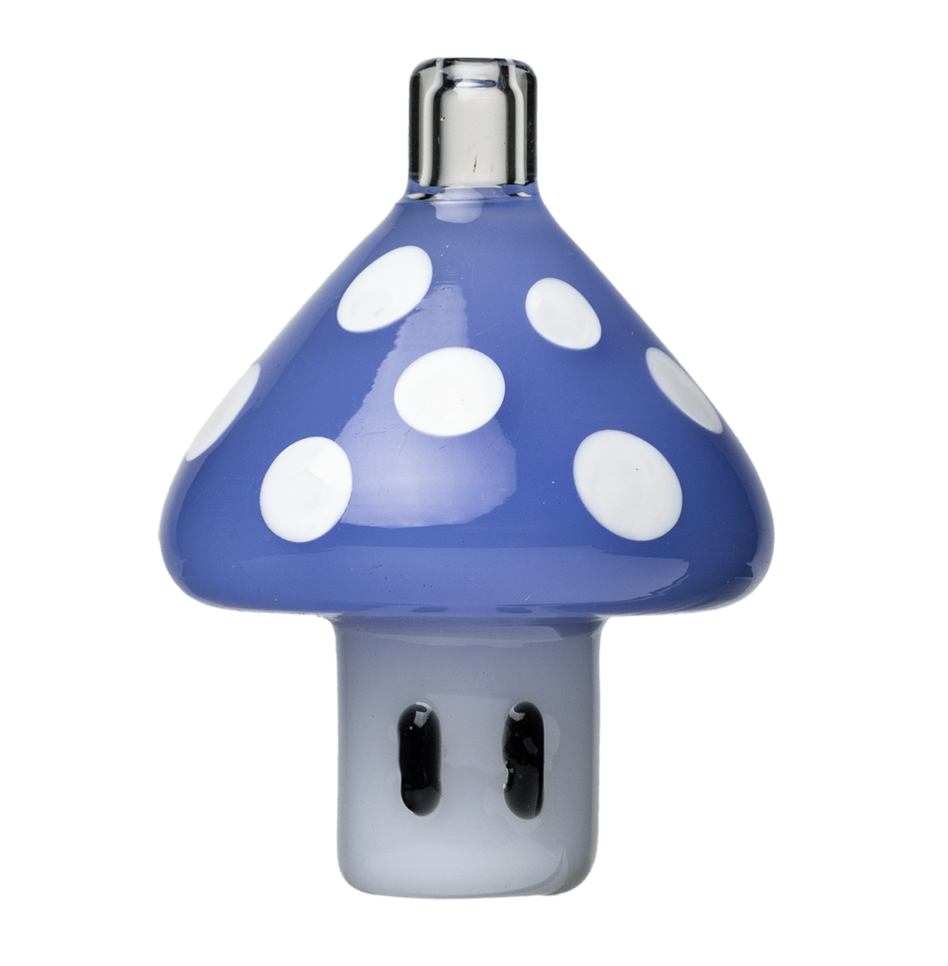 Human Grade Mushroom Carb Cap - Image 4