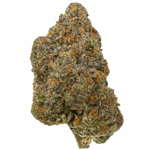 THCA Tres Leches Premium (Sativa)